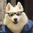 犬易