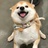 藏剑起千蝶