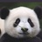 拉维·赛拉维