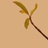 豆友191068645