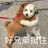 逸清风