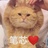 豆友191370784