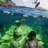 浮尘游舞
