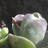 芳草沐语