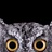 棕眼球