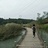 风