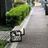 春光炸裂