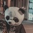 杜小贱
