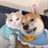 想要遨游的猹