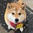姜谭