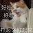 豆友197568371