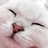 新蘭