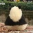 奇一小亲亲