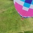fly me