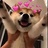 剧霸小迷妹