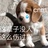 九折水瓶