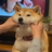 赚钱养梦