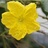 香菇大虾