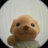 momo（一单版