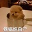 北冥冰糕