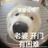 米娜桑