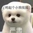 尤利西斯