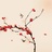 Deer.陌陌