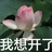 我想开啦