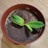 豆兜