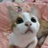 勇崽萌而吃之