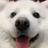 趣