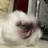 Alicedreamy_aa