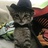 小猫狂人