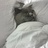 臥似¹條蟲