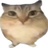 damelonth
