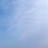 做个小树洞