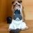 光光同学