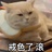 生命之树