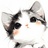 wenny