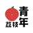 荔枝青年