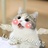 性感小野猫