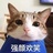 没有梦想的天
