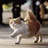龙小猫
