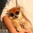 柴犬鉴定师