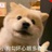 呵呵哒