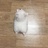 多瑙河之夜