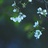 七八个星天外