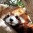 福田沙尾转租