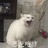 Lol玩家