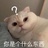 喵喵收藏家